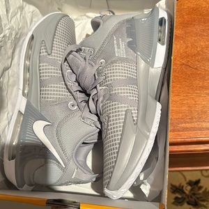 Nike LeBron Witness 7 Wolf Grey/White/Wolf Grey Men's Basketball Shoe Size 9
